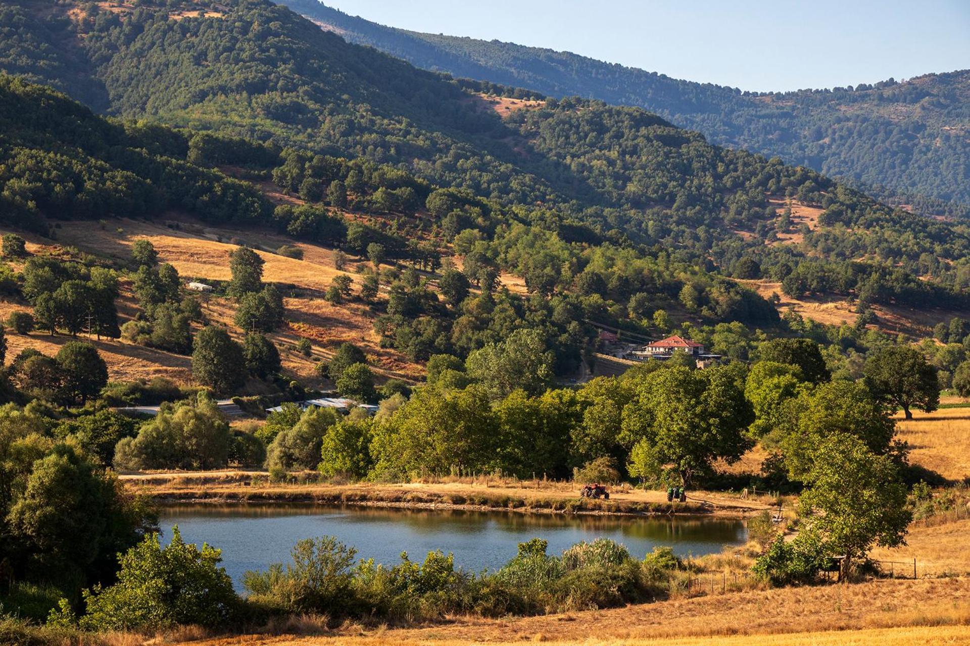 Ktima Bellou Agios Dimitrios  Dış mekan fotoğraf