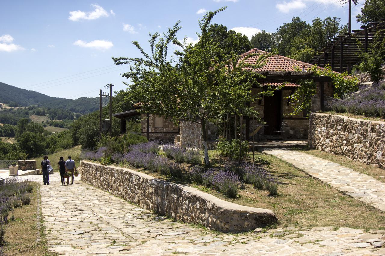 Ktima Bellou Agios Dimitrios  Dış mekan fotoğraf